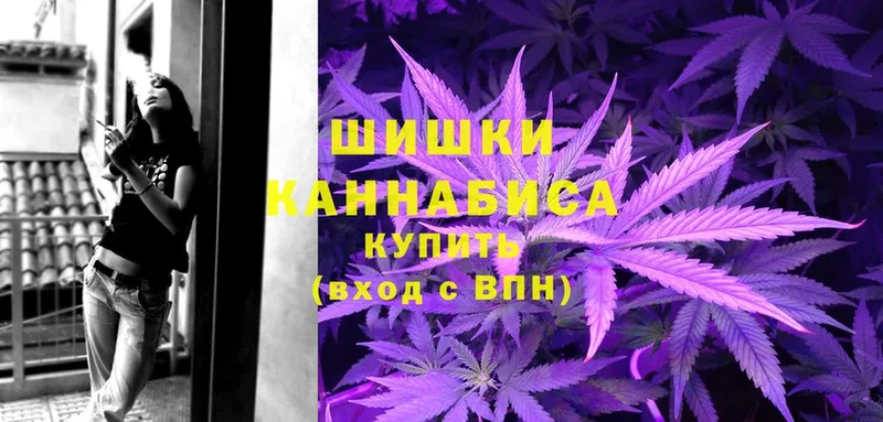 Бошки марихуана White Widow  Камышлов 